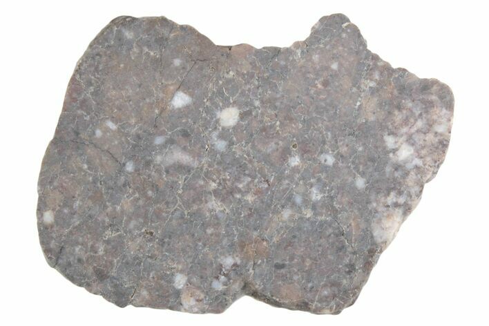 Lunar Meteorite ( g) Slice - Laayoune #381669
